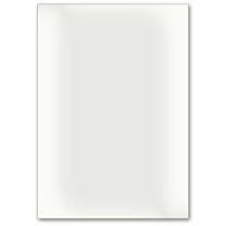 Blanko-Etiketten - Polyester, transparent matt-297 x 210