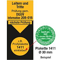 Grundetiketten DGUV Information 208-016 Leichtmetall-Kunststoff und Holzleitern 